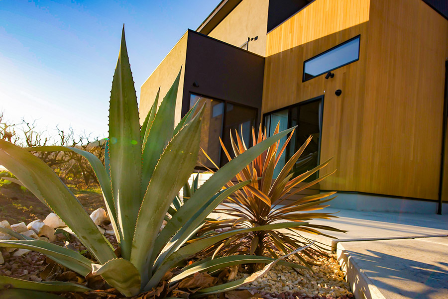 植栽・ガーデニング